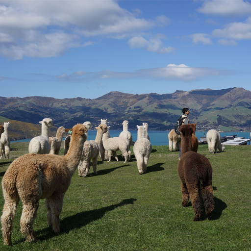 小程序,企業(yè)移動(dòng)辦公,OA,網(wǎng)站建設(shè),連云港網(wǎng)站,連云港網(wǎng)站開(kāi)發(fā)，系統(tǒng)開(kāi)發(fā)，微信開(kāi)發(fā)，微信公眾號(hào)，微信企業(yè)號(hào)，微信訂閱號(hào)，微信服務(wù)號(hào)開(kāi)發(fā),微教育
